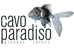 Specifie an alternate text for an image