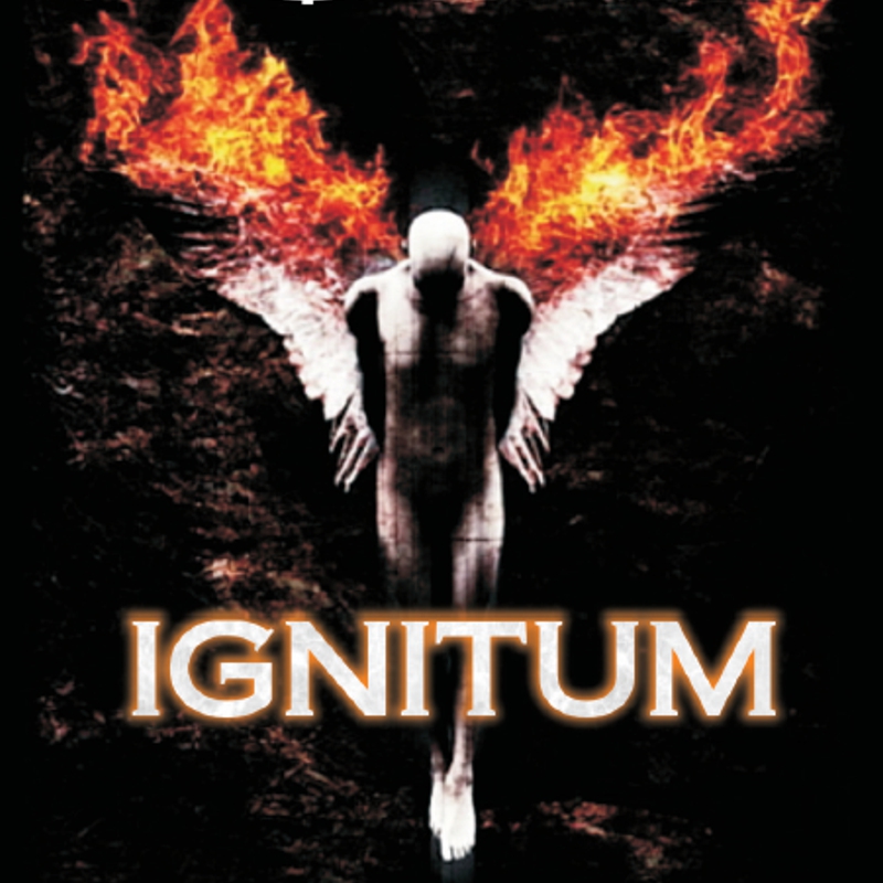 Specifie an alternate text for an image